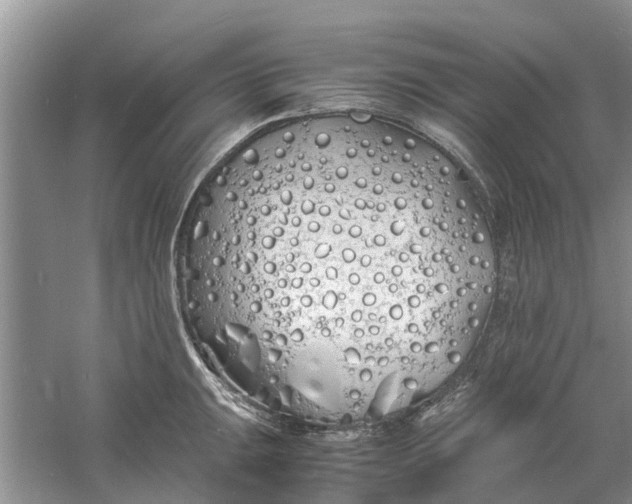 X0000060771047200512011606