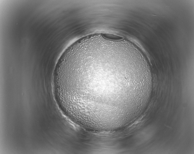 X0000060771048200512011606