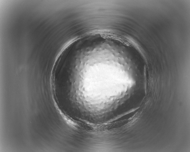 X0000060771050200512011606