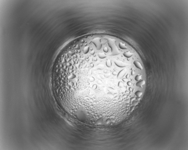 X0000060771051200512011606