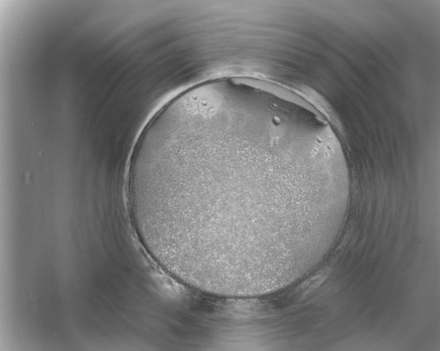 X0000060771052200512011606