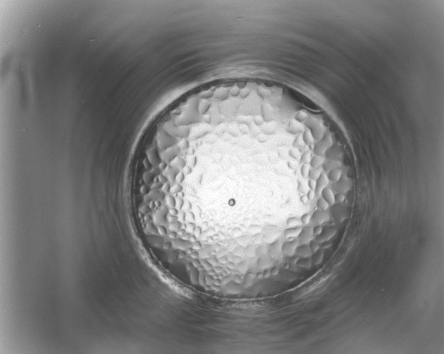 X0000060771053200512011606