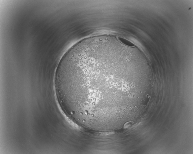 X0000060771055200512011606