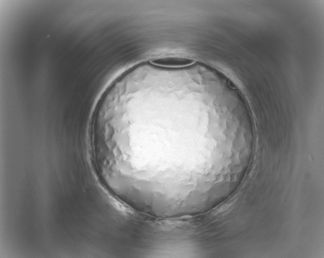 X0000060771056200512011606