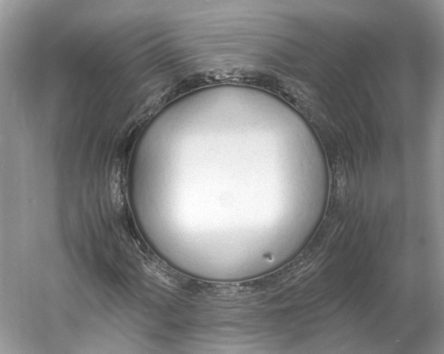 X0000060771060200512011606