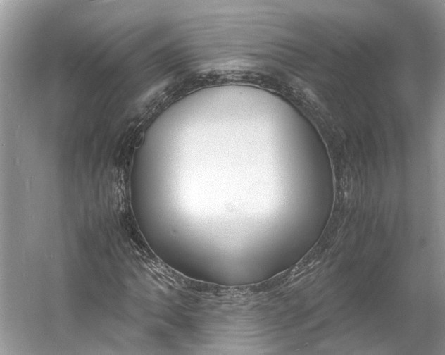 X0000060771062200512011606