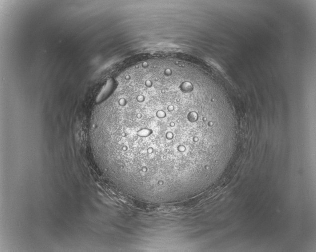 X0000060771063200512011606