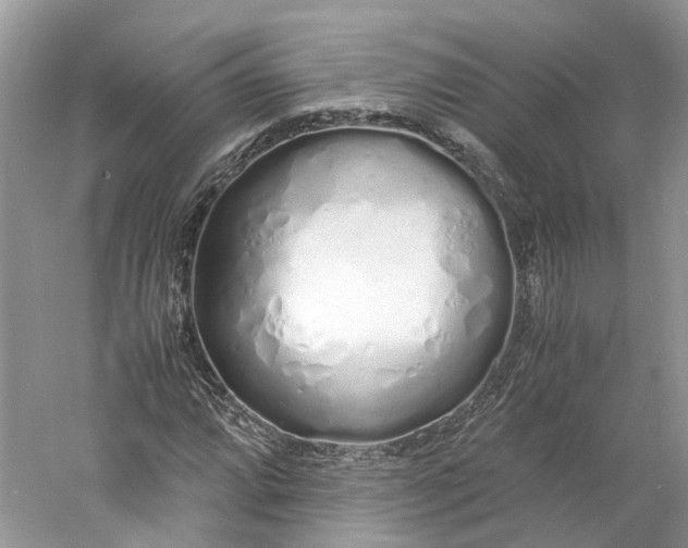 X0000060771064200512011605