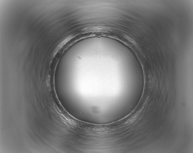 X0000060771066200512011605