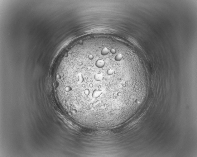 X0000060771067200512011605