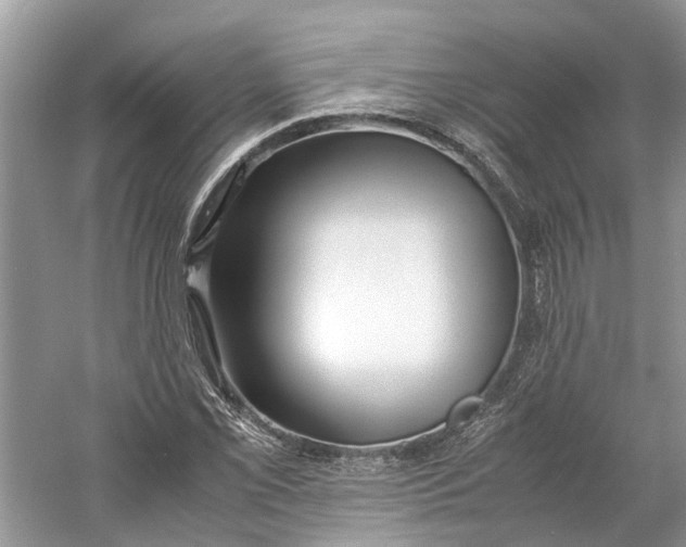 X0000060771069200512011605