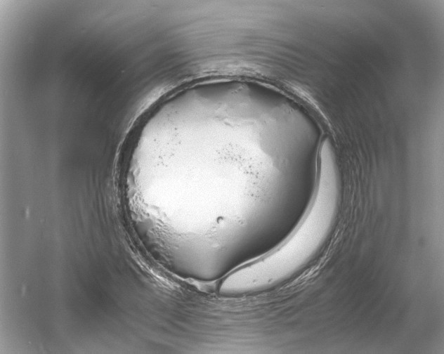 X0000060771071200512011605