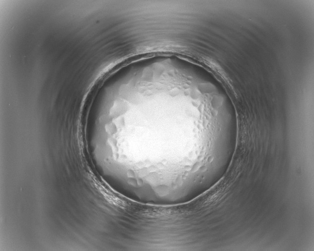 X0000060771072200512011605