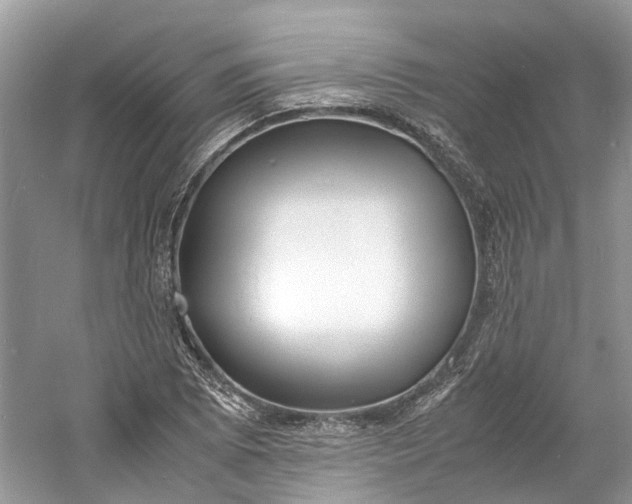 X0000060771073200512011605