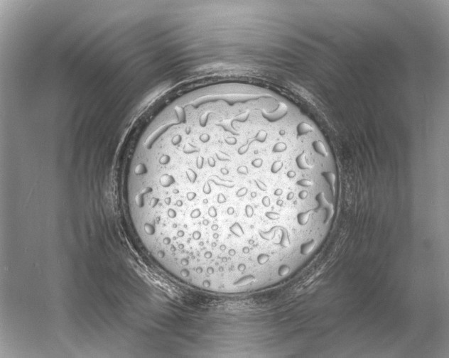 X0000060771074200512011605