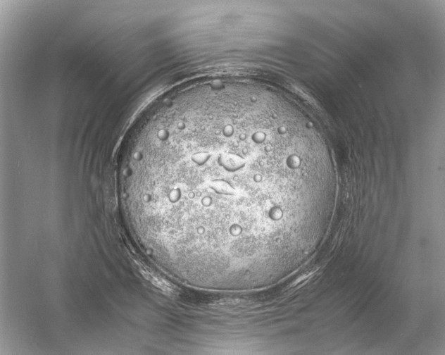 X0000060771075200512011605