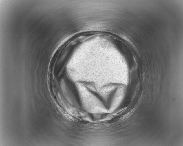 X0000060771077200512011605