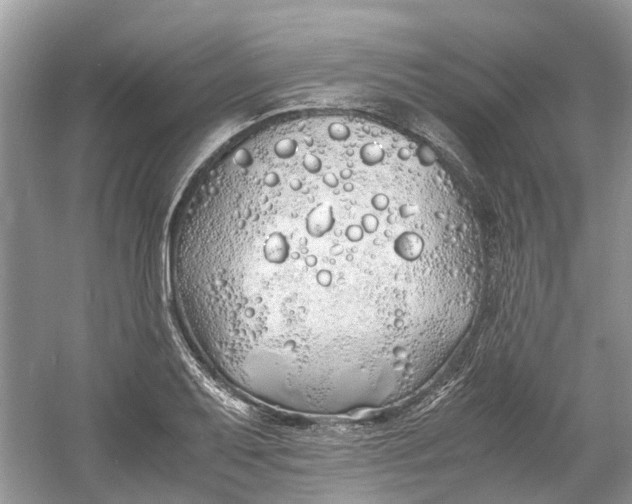 X0000060771079200512011605