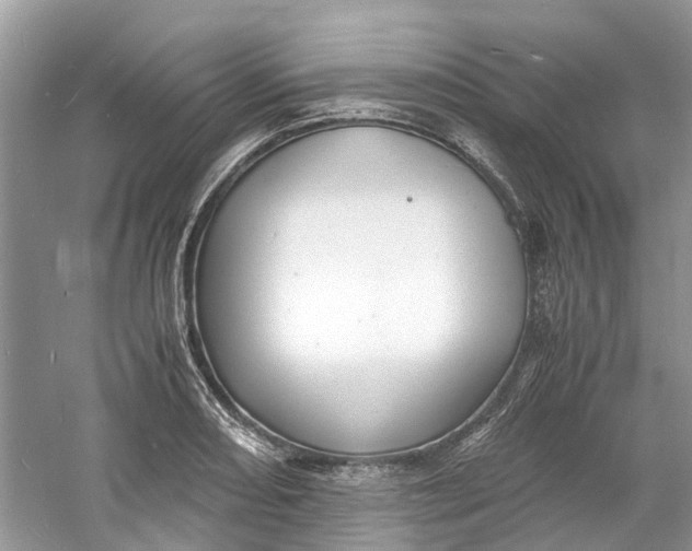 X0000060771082200512011605