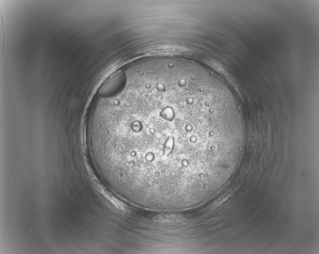 X0000060771083200512011605