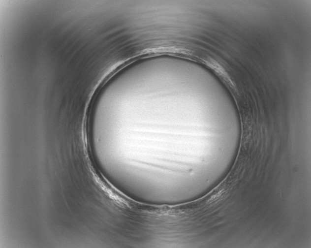 X0000060771084200512011605