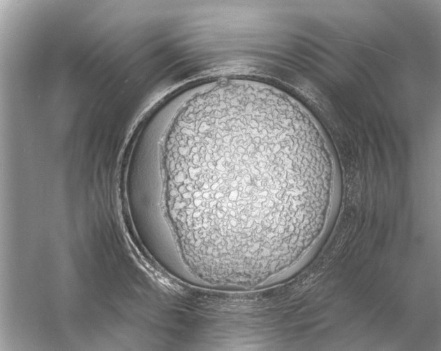 X0000060771086200512011605