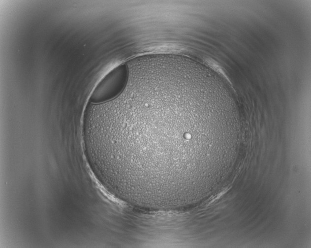 X0000060771087200512011605