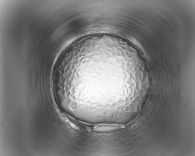 X0000060771088200512011605