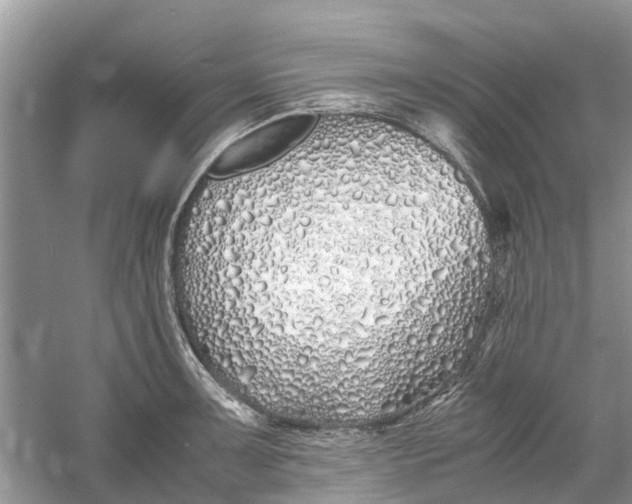 X0000060771091200512011605