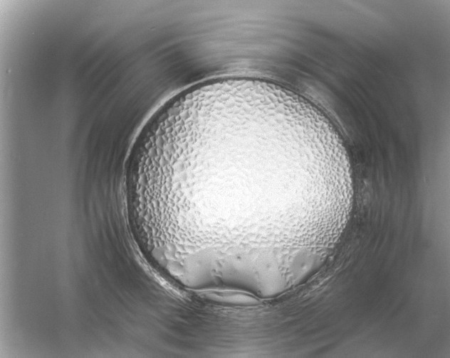 X0000060771092200512011605