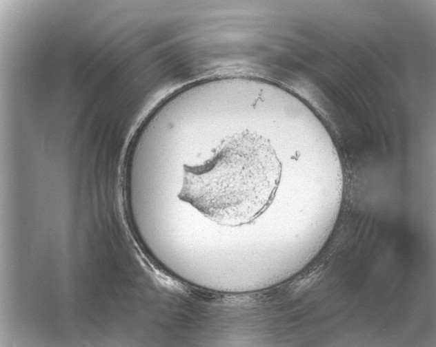 X0000060771094200512011605