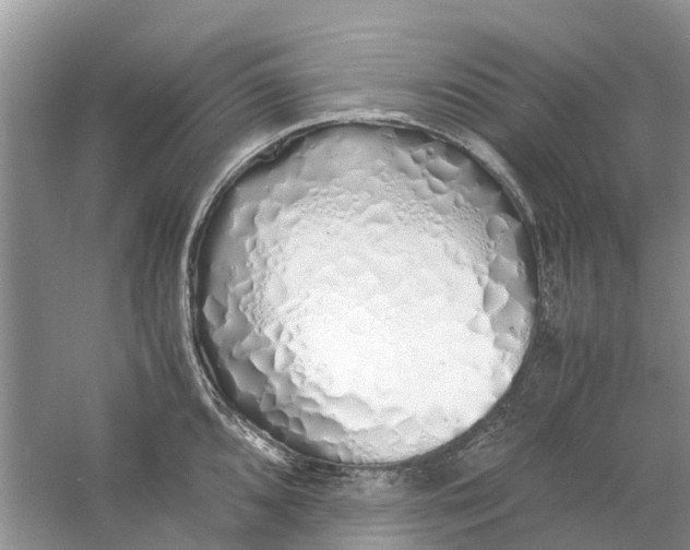 X0000060771096200512011605