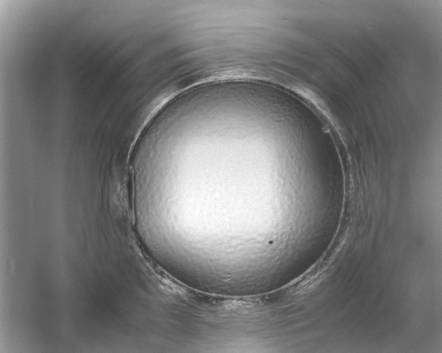 X0000060771097200512011605