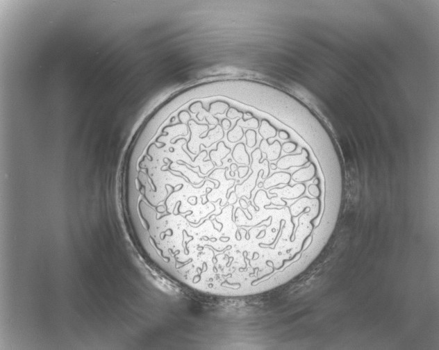 X0000060771098200512011605