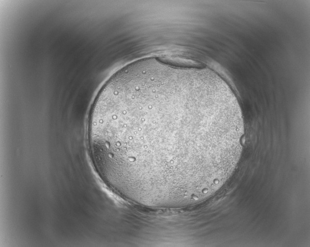 X0000060771099200512011605