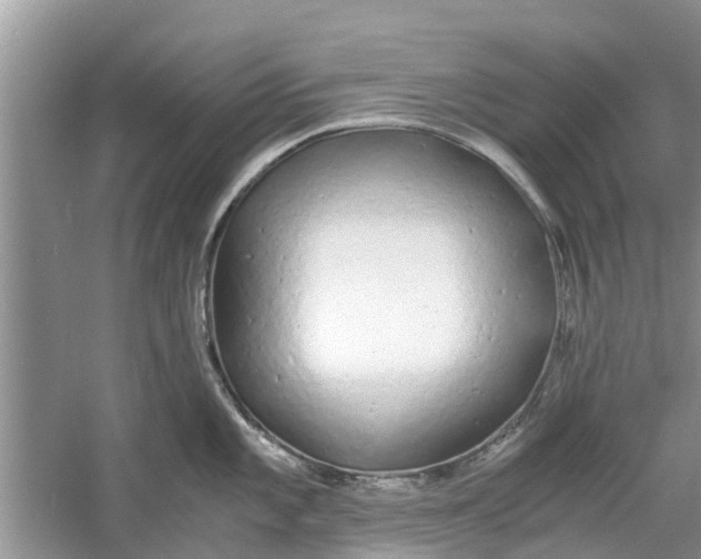 X0000060771101200512011605