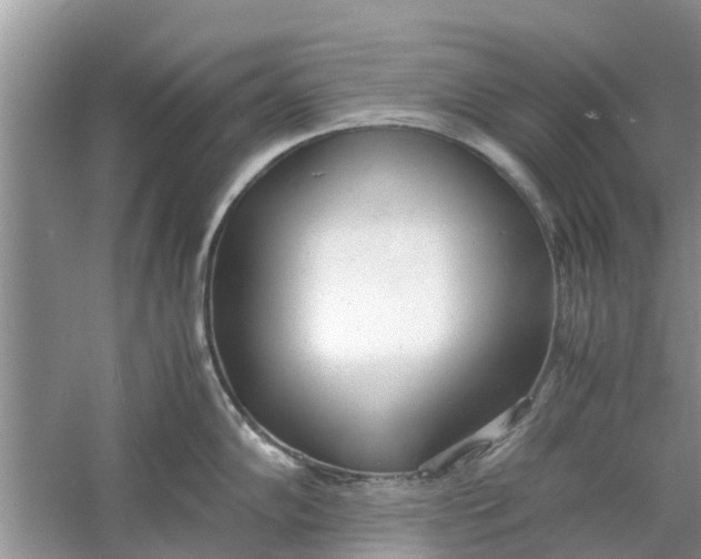 X0000060771102200512011605