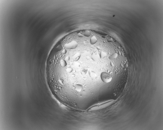 X0000060771103200512011605