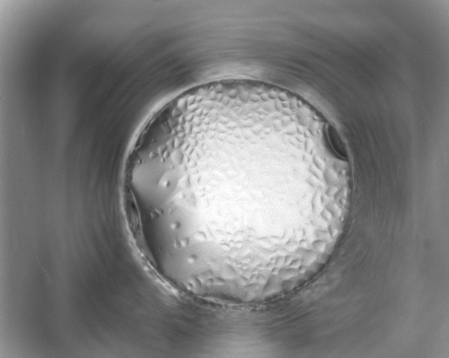 X0000060771104200512011605