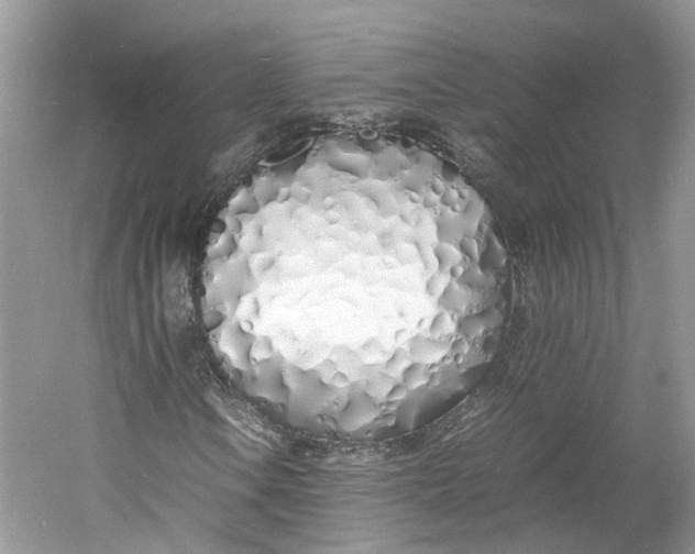 X0000060771106200512011604