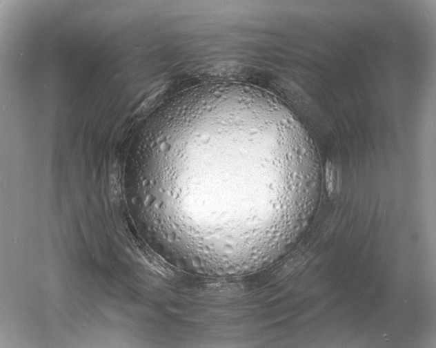 X0000060771107200512011604