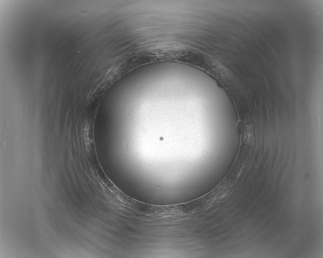 X0000060771108200512011604