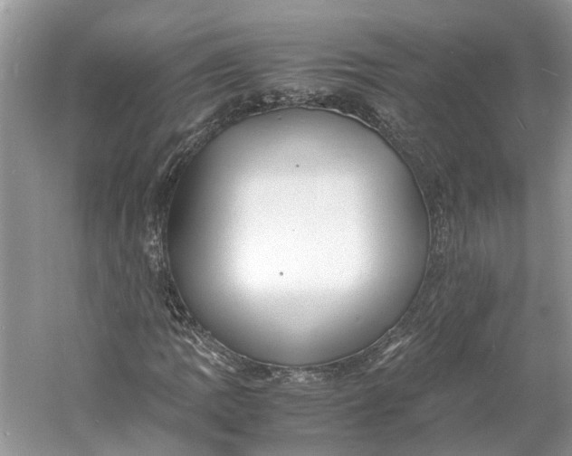 X0000060771109200512011604