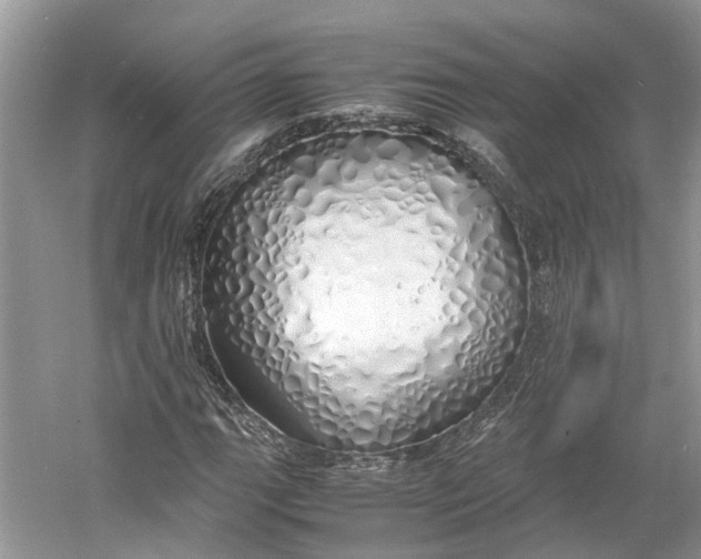 X0000060771111200512011604