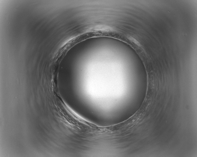 X0000060771112200512011604