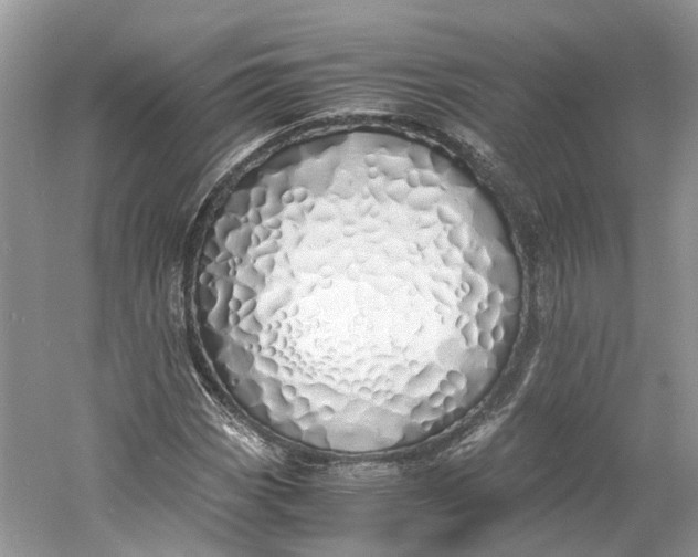 X0000060771113200512011604