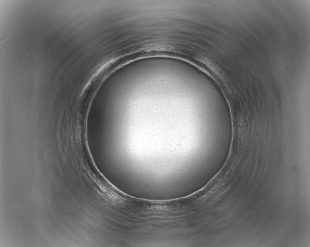 X0000060771115200512011604