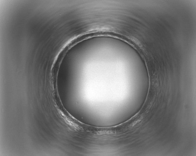 X0000060771118200512011604