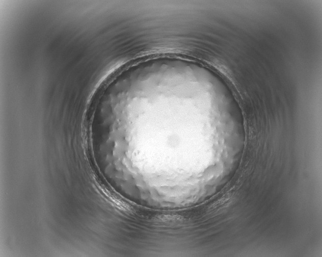 X0000060771119200512011604