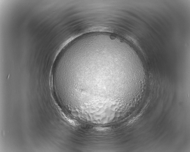 X0000060771125200512011604